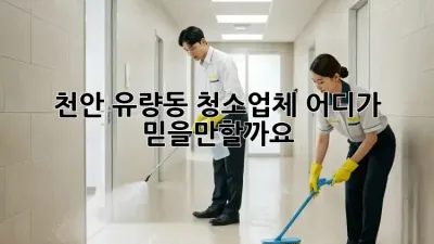 천안 유량동 청소업체, 어디가 믿을만할까요?