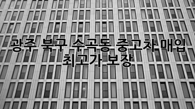 광주 북구 수곡동 중고차 매입, 최고가 보장!