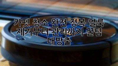 🏡✨ 카펫 청소 완전 정복! 얼룩 제거부터 관리까지 꿀팁 대방출