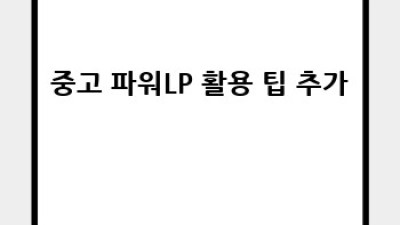 득템찬스! 중고 파워LP 솔직 후기와 구매 꿀팁 대방출